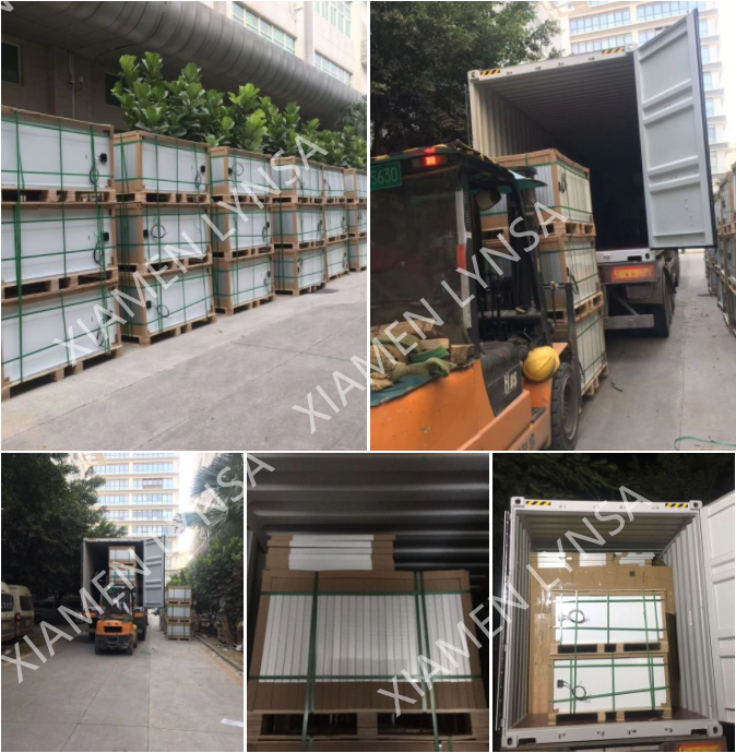 Solar Panel Container Loading-Xiamen Lynsa